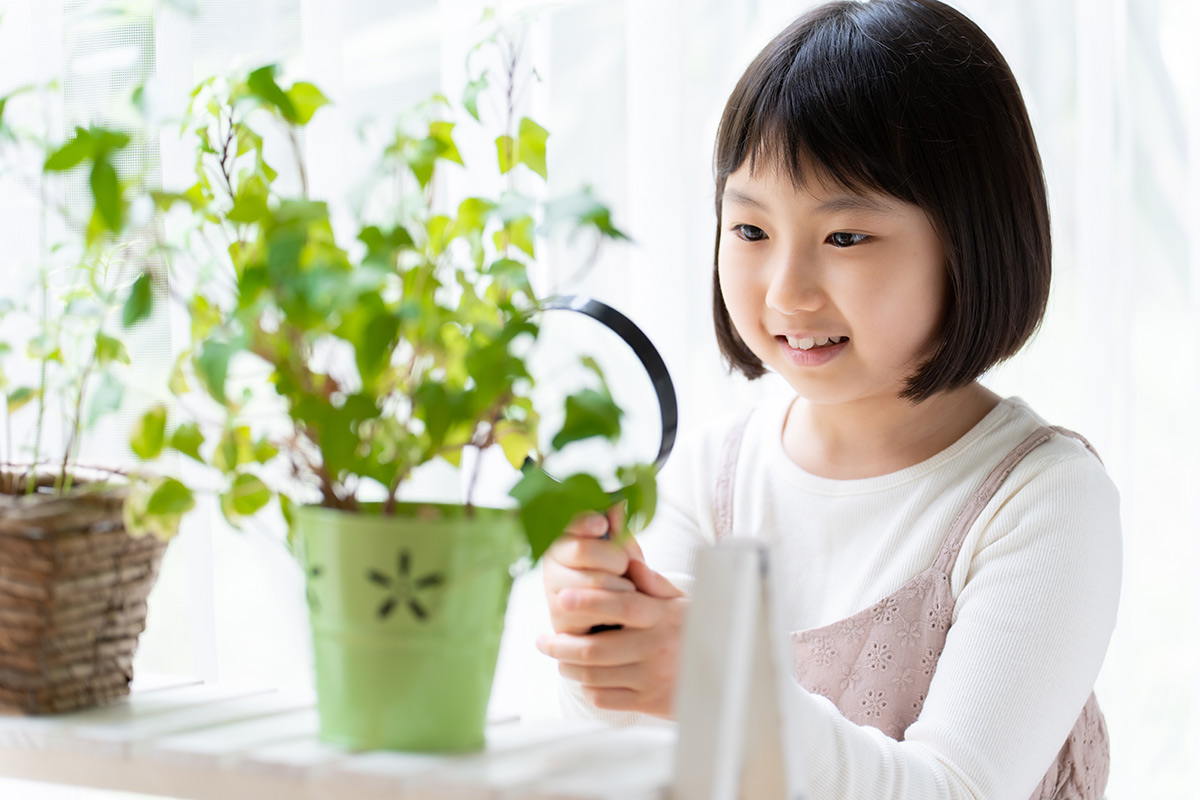 自由研究をまとめている子ども