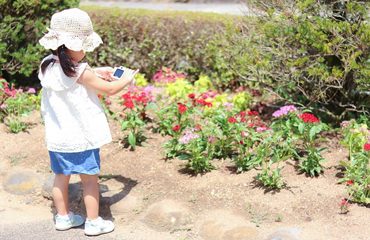 花を観察しながら自分のカメラで撮影する子ども