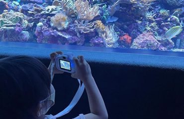 水族館でカメラを向けて撮影する子ども