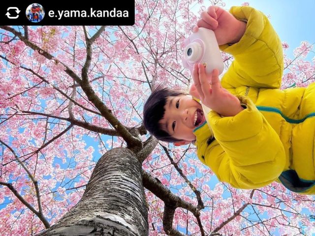＼ #ピントキッズ写真部 📷 ／
@e.yama.kandaa さんの作品です🌸

きらきらの可愛らしい笑顔を包み込むような
河津桜のピンク色の花びらがまるで空のよう😄🌸
太陽の光を浴びてみんな輝いていますね😊

心躍るお出かけにピントキッズを連れて行ってくださり嬉しいです🌸
この度は素敵な作品のリポスト許可ありがとうございました！

--------------------------
📸 @e.yama.kandaa さん
--------------------------

“🌸河津桜の空はさくら色🌸”

#三重県 #なばなの里 #桑名市 #spring #kankomie #visitmie #春 #日本 #Japan #春色 #長島町 #花 #はなのちはれ #カメラ #写真 #はなまっぷ #三重観光 #お出かけスポット #flower #japantrip #plumgarden #weepingplum #flowerstagram # 河津桜 #ピントキッズ #ピントキッズwith #キッズカメラ #ピントキッズ写真部

------------------------------------------

ココタス公式アカウントでは
■ピントキッズを含むおすすめ商品の発信
■新商品や限定クーポンなどお得な情報の発信をしております。

～くらしに楽しさをプラスする～
@cocotas_official

------------------------------------------

#pintkids #トイカメラ#ちびっこカメラマン
