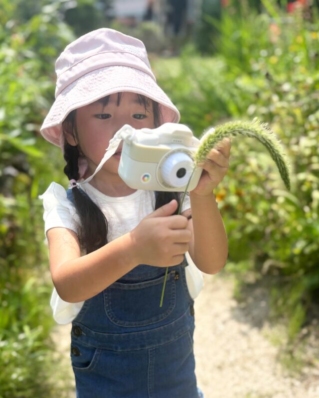 今日はお母さんと写活☀
夏を満喫する素敵なお写真が送られてきました📸
白いピントキッズが映えています✨

撮影した作品は大人顔負けの力作揃い。
大好きなお母さんと撮り合いっこしている姿にニヤけちゃいますね🥰

#ピントキッズ #トイカメラ #キッズカメラ #夏休み #大好きなお母さんと

【取扱店舗】
ココタス本店
ココタス楽天市場店
ココタスYahoo!ショッピング
ココタスAmazon店

****************
／
会員登録がオススメ◎
＼
ココタス本店なら初回会員登録ですぐ使える300ポイントプレゼント中！

𐄁𐄙𐄁𐄙𐄁𐄙𐄁𐄙𐄁𐄁𐄙𐄁𐄙𐄁𐄙𐄁𐄙𐄁

「保証期間が心配…」
ココタス本店限定！有償保証サービス「proteger」で
最大2年間保証申請可能◎

𐄁𐄙𐄁𐄙𐄁𐄙𐄁𐄙𐄁𐄁𐄙𐄁𐄙𐄁𐄙𐄁𐄙𐄁
——————————————

気に入ったら是非いいねとフォローお願いします♪

ココタス公式アカウントでは
■ピントキッズを含むおすすめ商品の発信
■新商品や限定クーポンなどお得な情報の発信をしており
ます。

～くらしに楽しさをプラスする～
@cocotas_official

——————————————