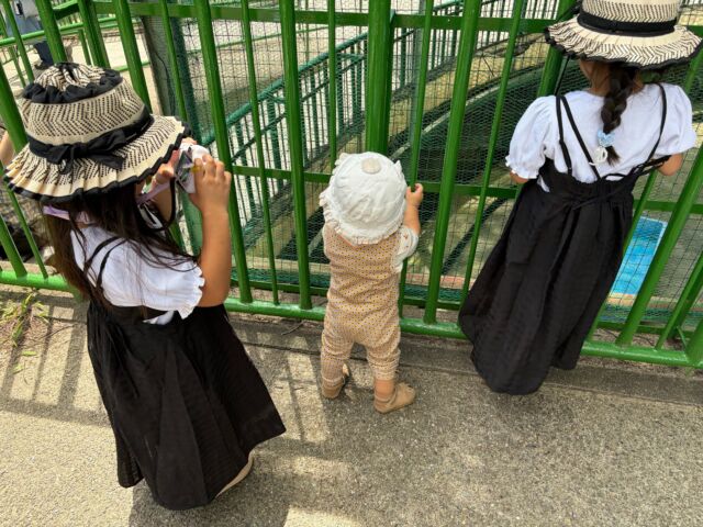 双子のお姉ちゃんと弟くんのとあるお出かけ日記。
この日はお姉ちゃん達がカメラマンになってくれました📸

上を見上げたり、ぐぐっと角度をつけたり、、
撮影に夢中になる姿がbest!です〇

弟くんがもっと大きくなったら今度は3人で撮りあいっこ出来るといいですね✨

#ピントキッズ #トイカメラ #キッズカメラ #お出かけ #将来は3人で

【取扱店舗】
ココタス本店
ココタス楽天市場店
ココタスYahoo!ショッピング
ココタスAmazon店

****************
／
会員登録がオススメ◎
＼
ココタス本店なら初回会員登録ですぐ使える300ポイントプレゼント中！

𐄁𐄙𐄁𐄙𐄁𐄙𐄁𐄙𐄁𐄁𐄙𐄁𐄙𐄁𐄙𐄁𐄙𐄁

「保証期間が心配…」
ココタス本店限定！有償保証サービス「proteger」で
最大2年間保証申請可能◎

𐄁𐄙𐄁𐄙𐄁𐄙𐄁𐄙𐄁𐄁𐄙𐄁𐄙𐄁𐄙𐄁𐄙𐄁
——————————————

気に入ったら是非いいねとフォローお願いします♪

ココタス公式アカウントでは
■ピントキッズを含むおすすめ商品の発信
■新商品や限定クーポンなどお得な情報の発信をしており
ます。

～くらしに楽しさをプラスする～
@cocotas_official

——————————————